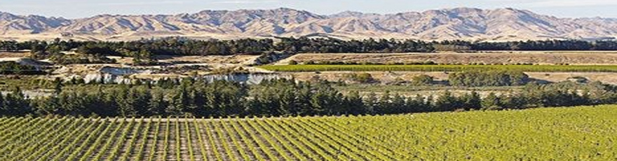 Upside Down Wines Marlborough